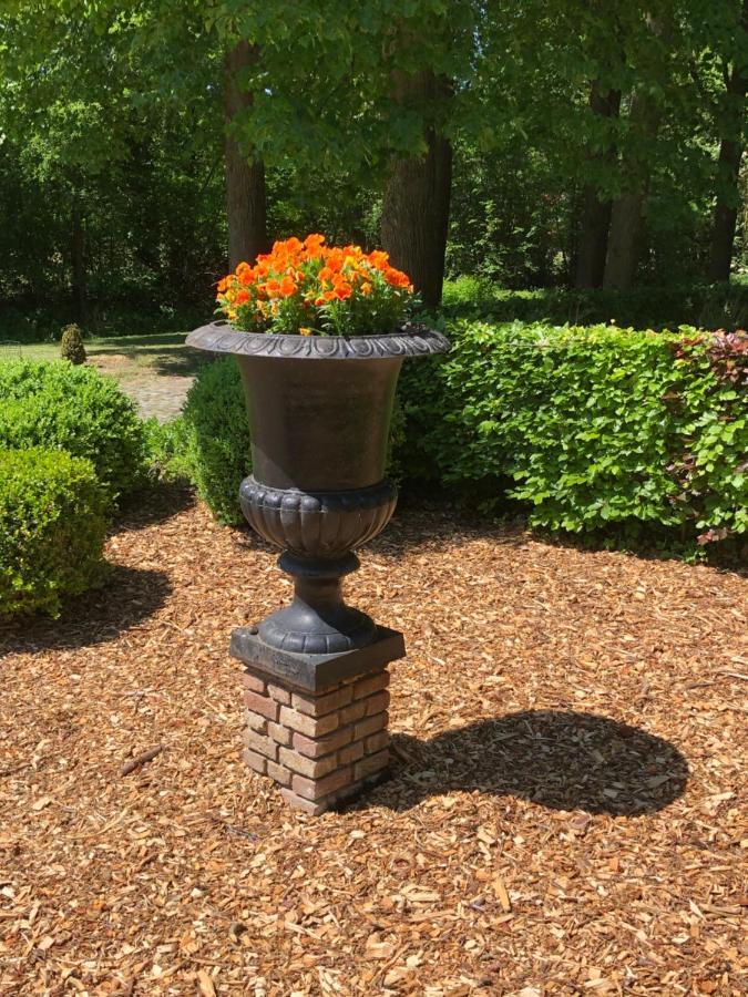 Sloapmuts Bed & Breakfast Oud-Ootmarsum Bagian luar foto